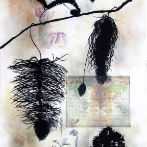 Susan Davidoff - Regiones Botanicas de la Tierra: Antilles No. 1, 2001 Medium: 5 Color Lithograph with hand applied pigment and collage Edition: 45 Paper: Silk Tissue, Archival Photo Copy on Rives BFK, White Paper Size: 42″ x 29.5″ Image Size: Same
