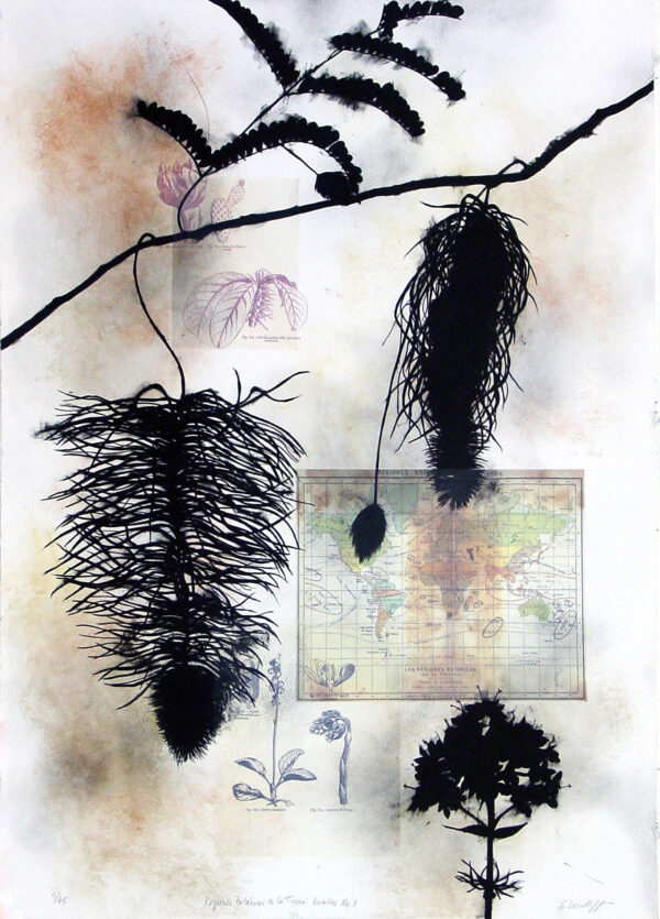 Susan Davidoff - Regiones Botanicas de la Tierra: Antilles No. 1, 2001 Medium: 5 Color Lithograph with hand applied pigment and collage Edition: 45 Paper: Silk Tissue, Archival Photo Copy on Rives BFK, White Paper Size: 42″ x 29.5″ Image Size: Same