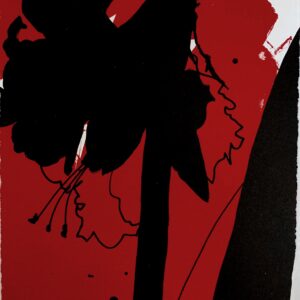 Susan Davidoff - Winter Amaryllis, 2015 Medium: Lithograph Edition: 68 Paper: Rives BFK Paper Size: 9.125″ x 6.25″ Image Size: same