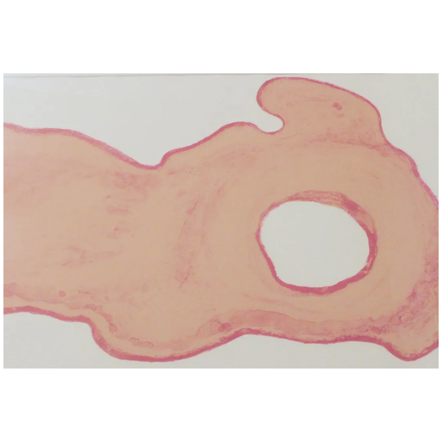 Barry Eisenhart - Untitled, 2015 Medium: Lithograph Paper: Arches Edition of 15 Size: 19 x 25 Signature: Yes