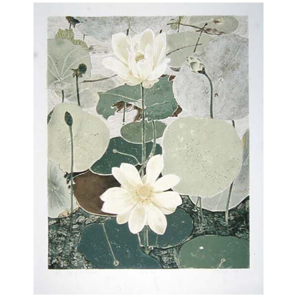 Robert Green - The Way of the Lotus, 1983 Medium: 11 Color Lithograph Edition: 60 Roman Numeral Edition: IX Paper: Edition, Rives BFK, White Paper: Roman Numeral Edition, Arches Cover, Buff Paper Size: 28″ x 22″ Image Size: 24″ x 19″