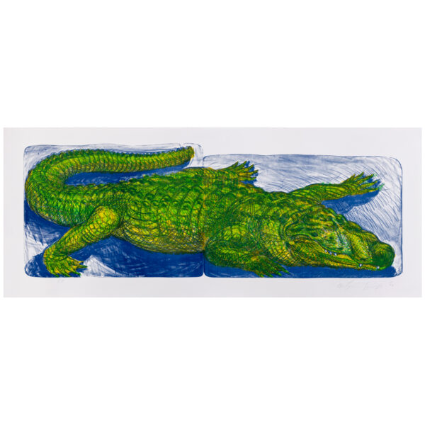 Luis Jiménez - Alligator, 1993 Medium: 3 Color Lithograph Edition: 30 – Roman Numeral Edition: VI Paper: Rives Special Waterleaf (Edition) Paper: Arches Cover, White (Roman Numeral Edition) Paper Size: 31.875″ x 77.75″ (approximate) Image Size: 25″ x 70.75″ (irregular) Copyright: The Artist Rights Society