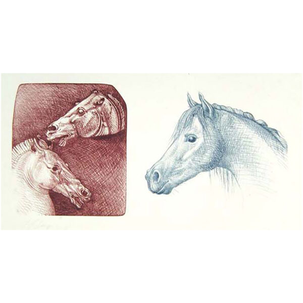 Luis Jiménez - Study of Two Classical Greek Horse Heads and a Modern Horse, 1994 Medium: 2 Color Lithograph Edition: 28 Paper: German Etching Paper Size: 29.5″ x 41″ Image Size: 16″ x 33″ (irregular) Copyright: The Artist Rights Society