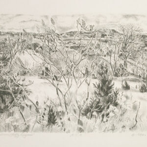 Robert Green - Autumn Lofty Dryness, 1988