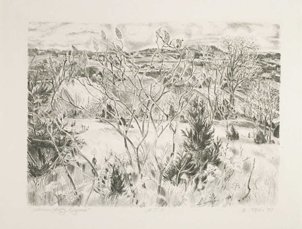 Robert Green - Autumn Lofty Dryness, 1988