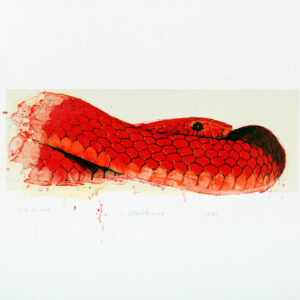 Robert Stackhouse - Ruby Lawrence, 1995 Medium: 5 Color Lithograph with chine collé Edition: 28 *Roman Numeral Edition: 15 Papers: Arches Cover, White & Sekishu chine collé *Papers: Arches Cover, Buff & Sekishu chine collé Paper Size: 15″ x 23″ Image Size: 9.5″ x 17.25″