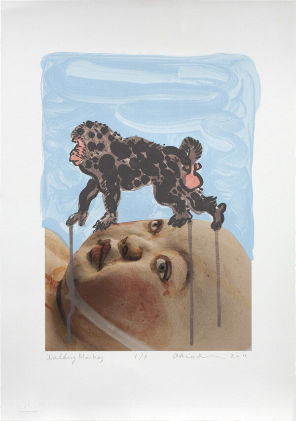 Akio Takamori - Walking Monkey, 2011 Medium: Lithograph and Archival Pigment Print Edition: 36 Paper: Somerset Velvet Enhanced Paper Size: 18.875″ x 13.25″ Image Size: 13.25″ x 9.875″ (irregular)