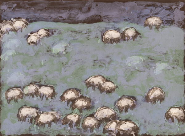 Theodore Waddell - Beaverhead Sheep I, 2008 Medium: Color Lithograph Edition: 20 Paper: Arches Cover, Black Paper Size: 22.25″ x 30″ Image Size: Same